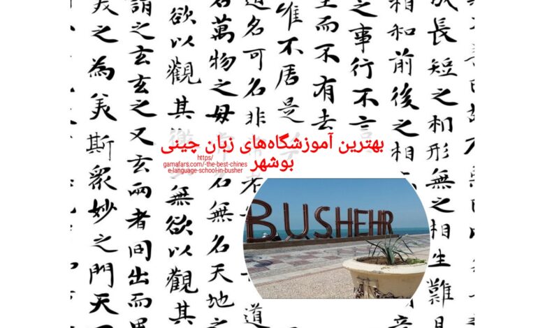 بهترین آموزشگاه‌های زبان چینی بوشهر