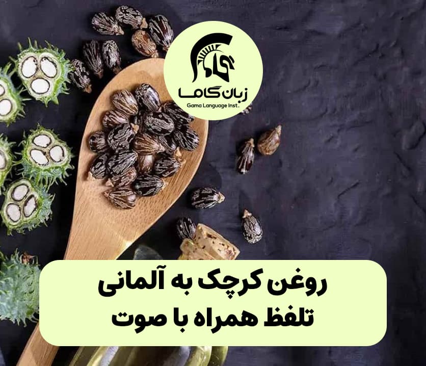 آموزشگاه زبان در شیراز