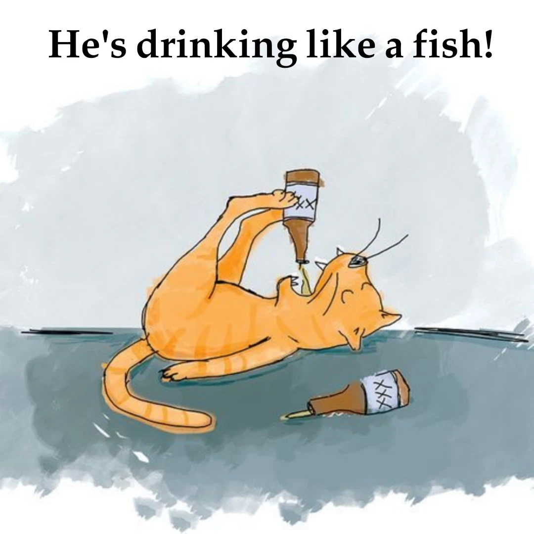معنی drink like a fish چیست؟ 1 معنی drink like a fish چیست؟