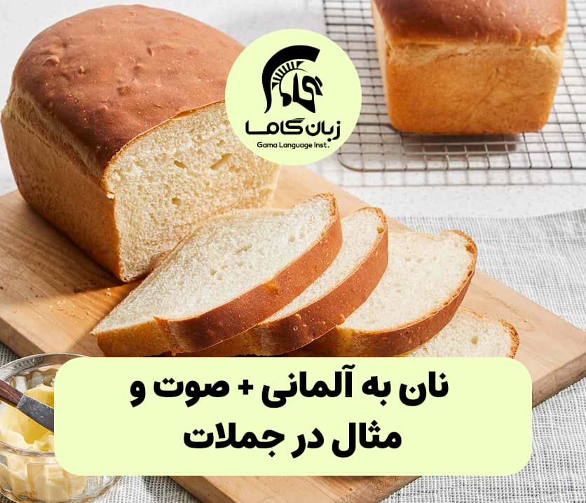 آموزشگاه زبان در شیراز