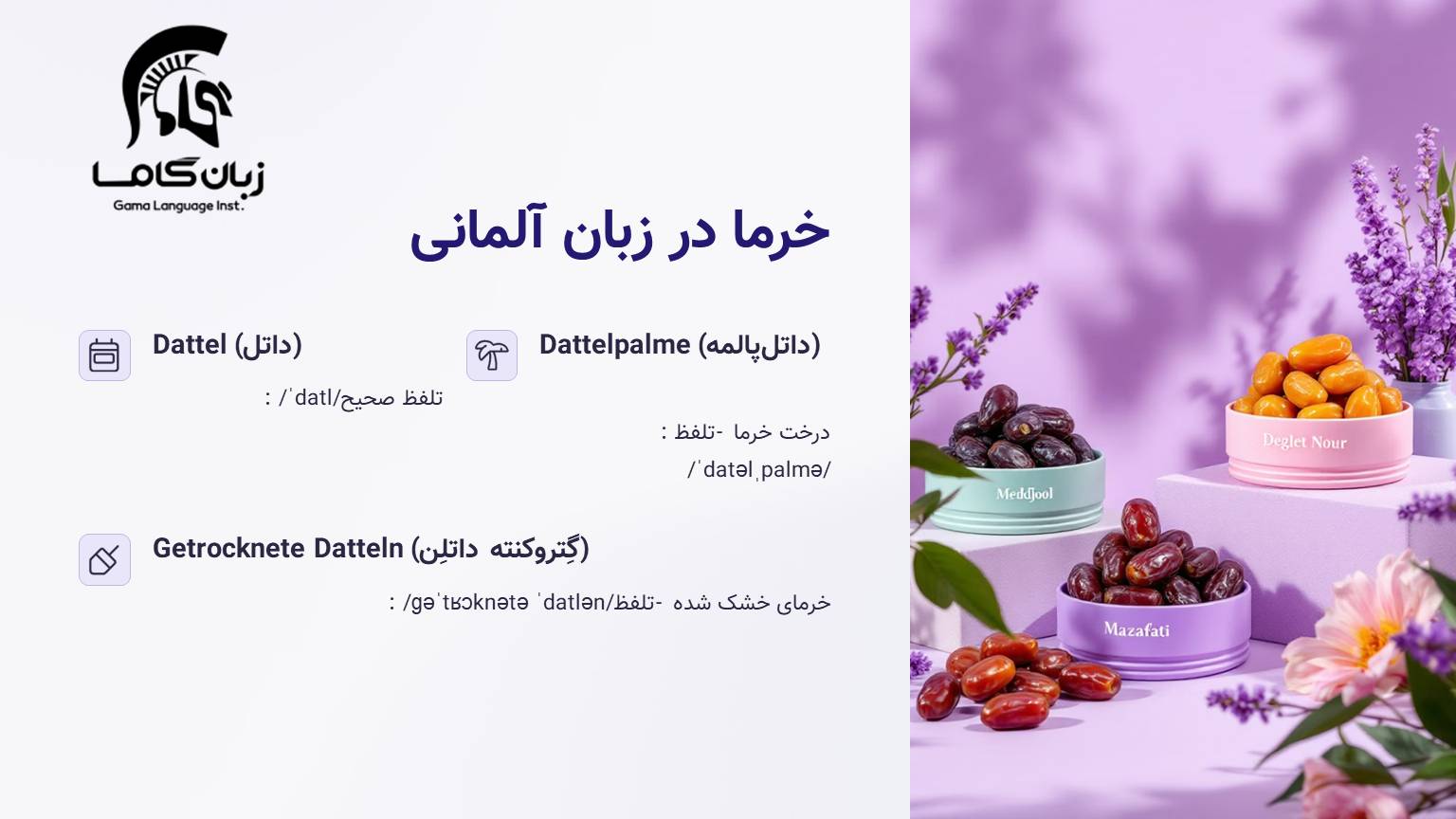 خرما به آلمانی + مثال در جمله 1 خرما در زبان آلمانی