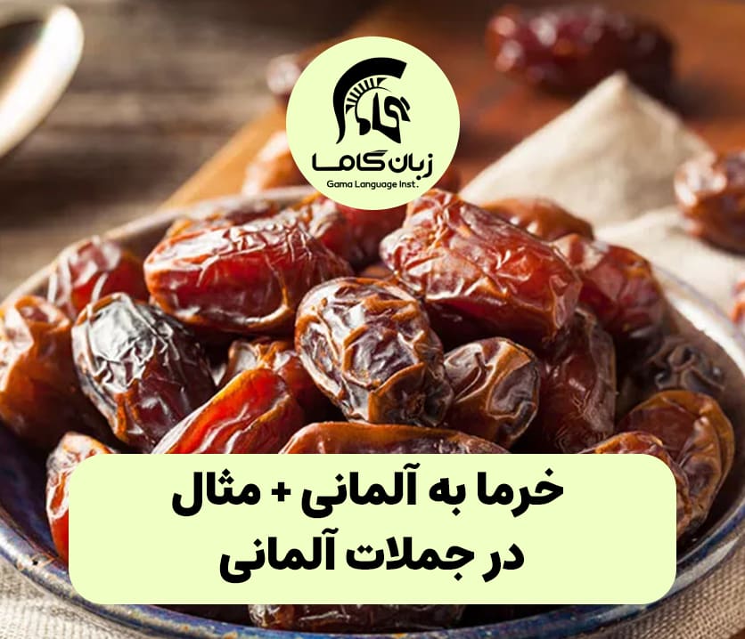 آموزشگاه زبان در شیراز