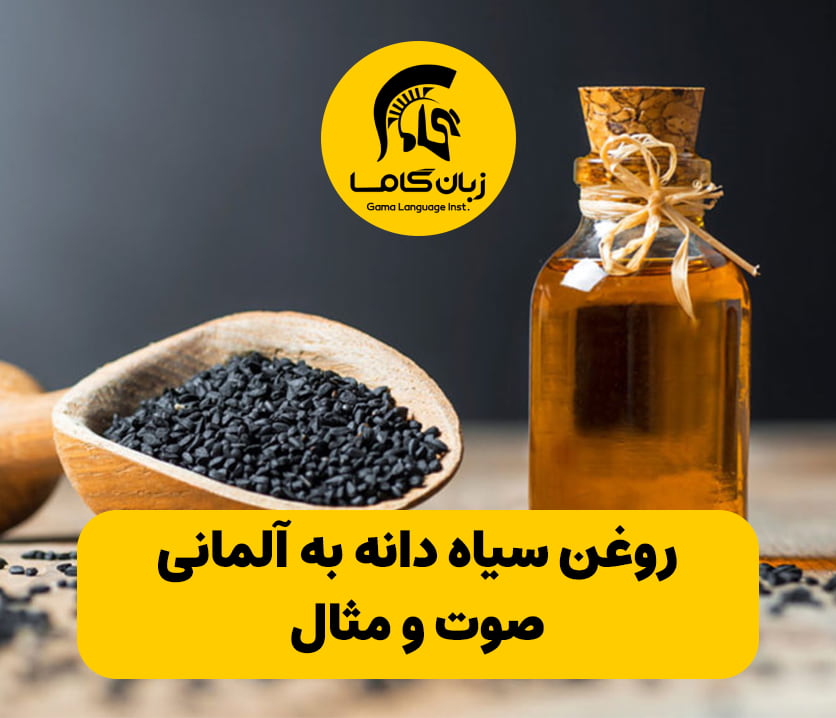 آموزشگاه زبان در شیراز