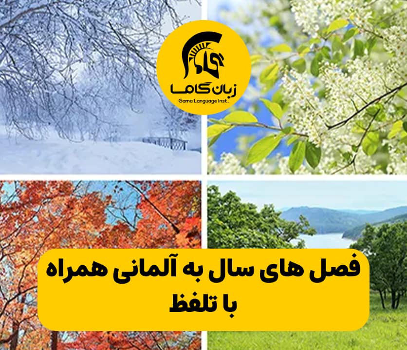 آموزشگاه زبان در شیراز