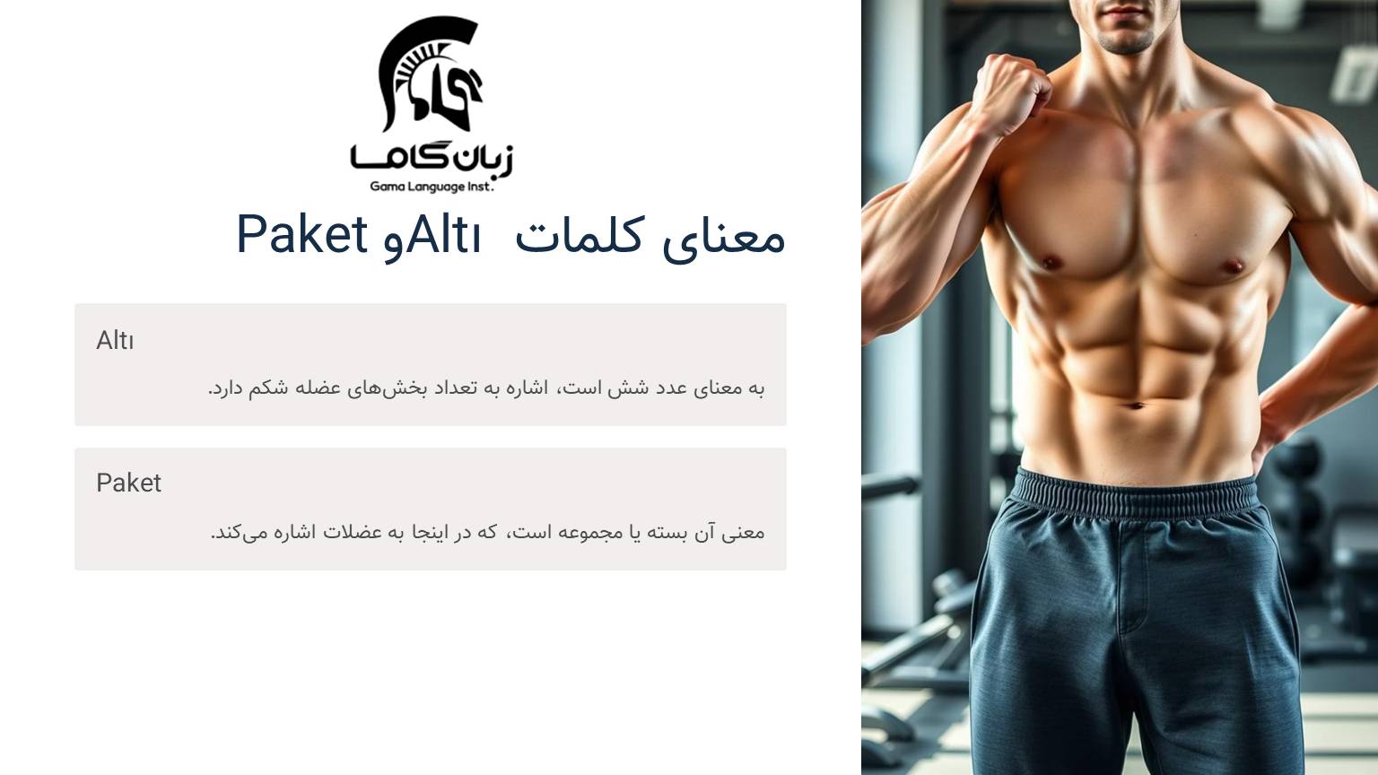 معنای سیکس پک به ترکی استانبولی