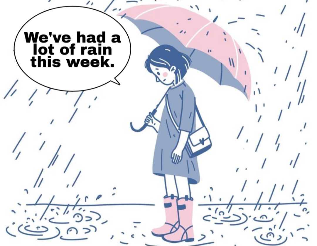 جمع rain چه می شود؟ 1 جمع rain