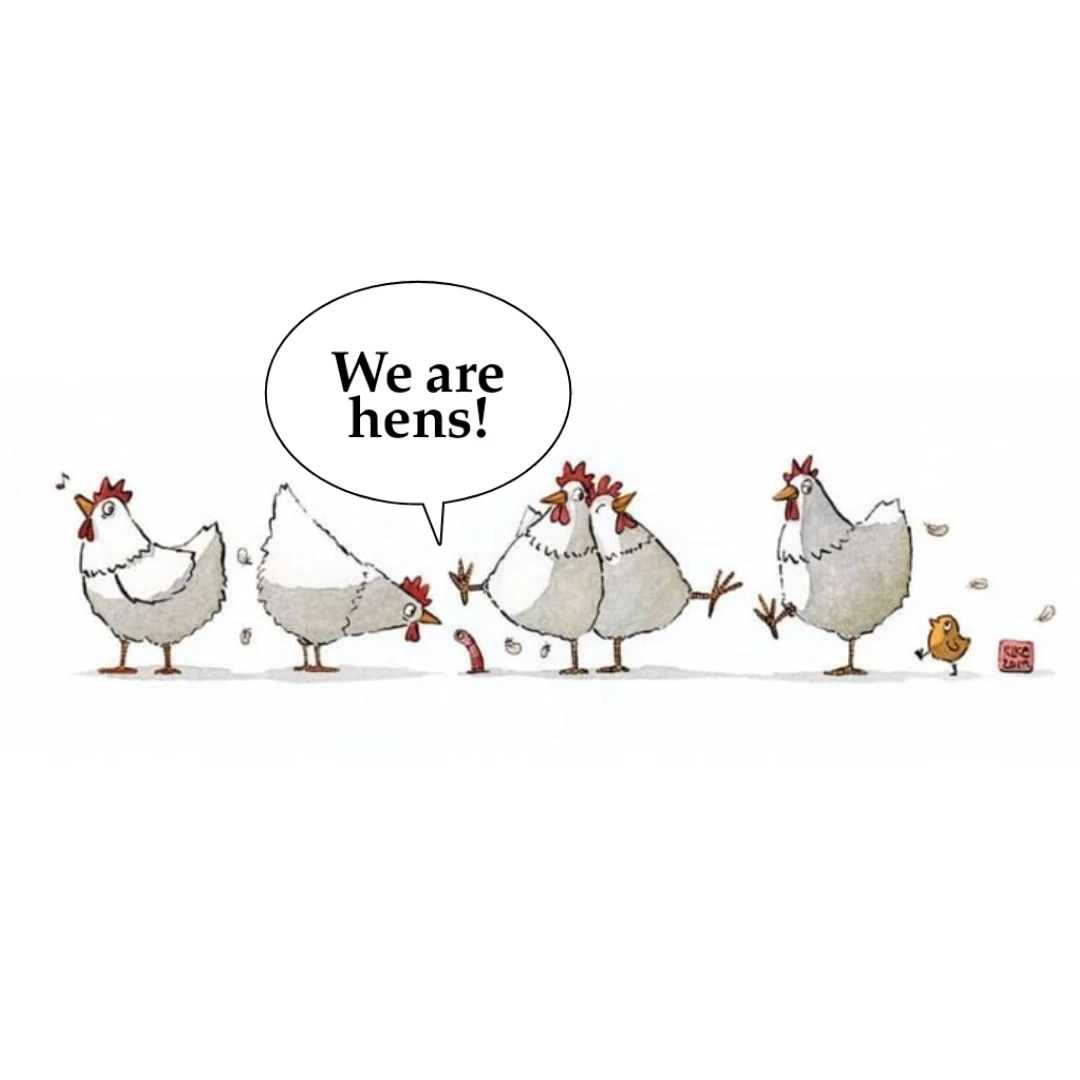 جمع hen چه می شود؟ 1 جمع hen