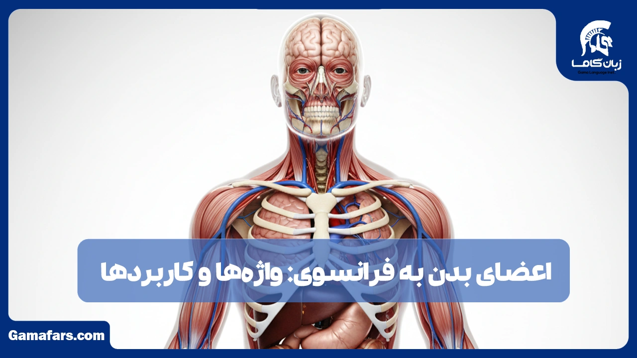 آموزشگاه زبان در شیراز