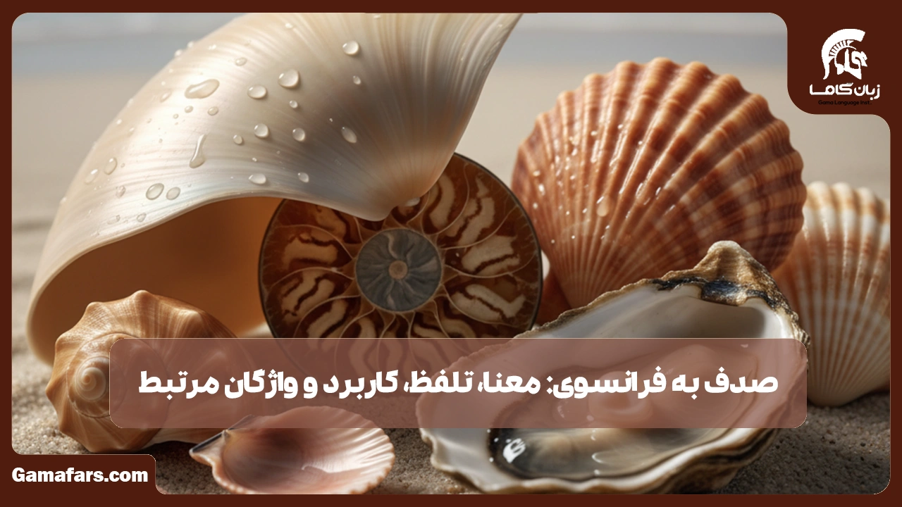 آموزشگاه زبان در شیراز