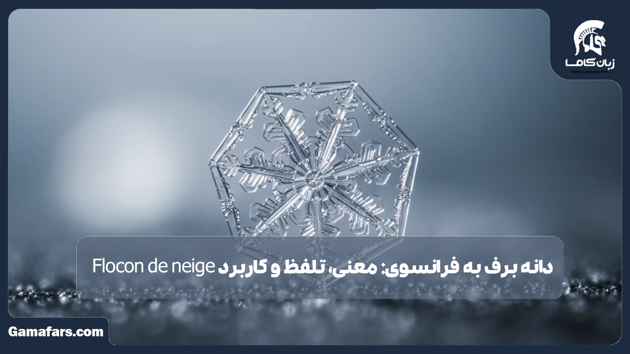 آموزشگاه زبان در شیراز