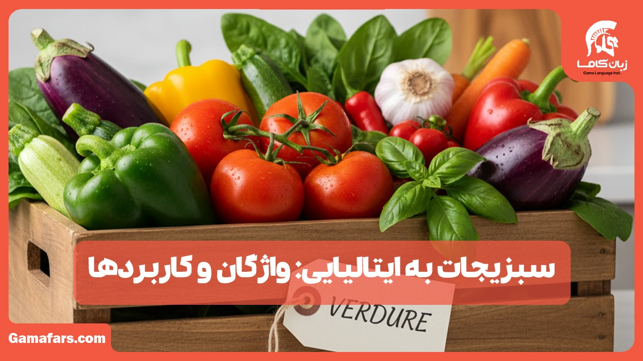 آموزشگاه زبان در شیراز