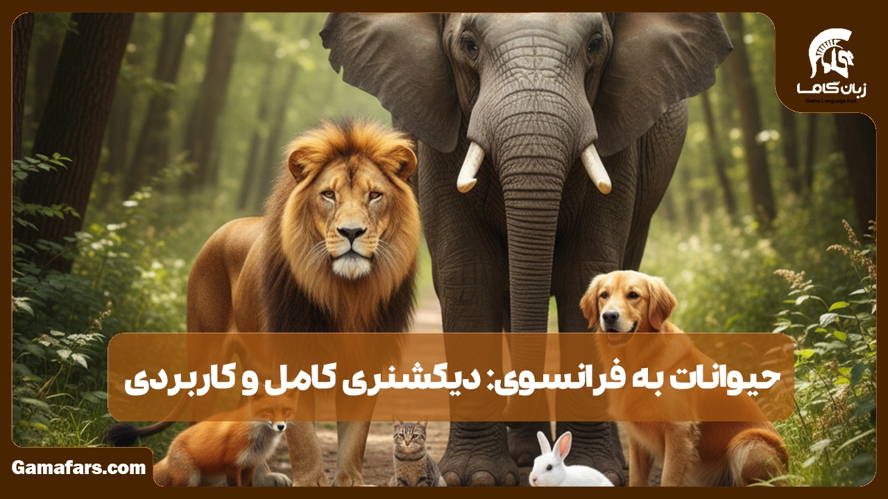 آموزشگاه زبان در شیراز