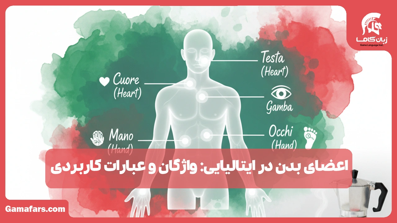 آموزشگاه زبان در شیراز