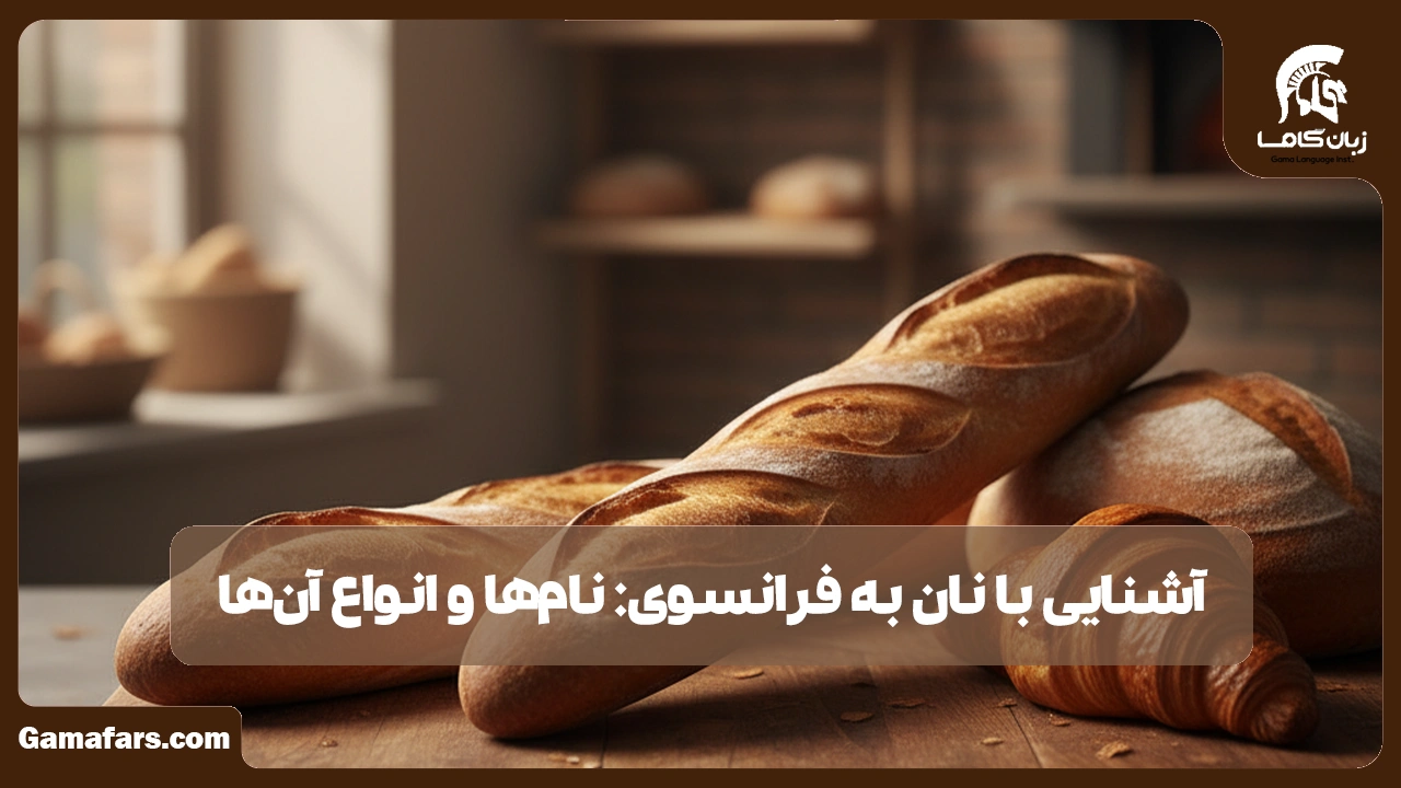 آموزشگاه زبان در شیراز