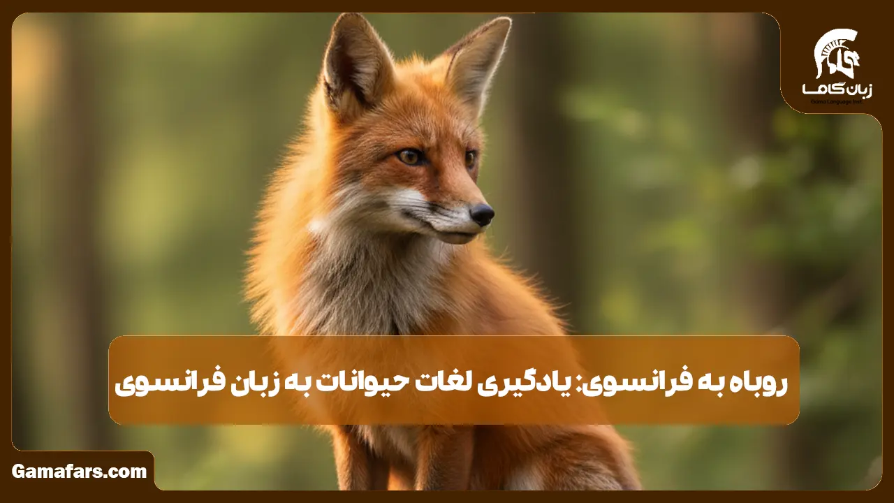 آموزشگاه زبان در شیراز