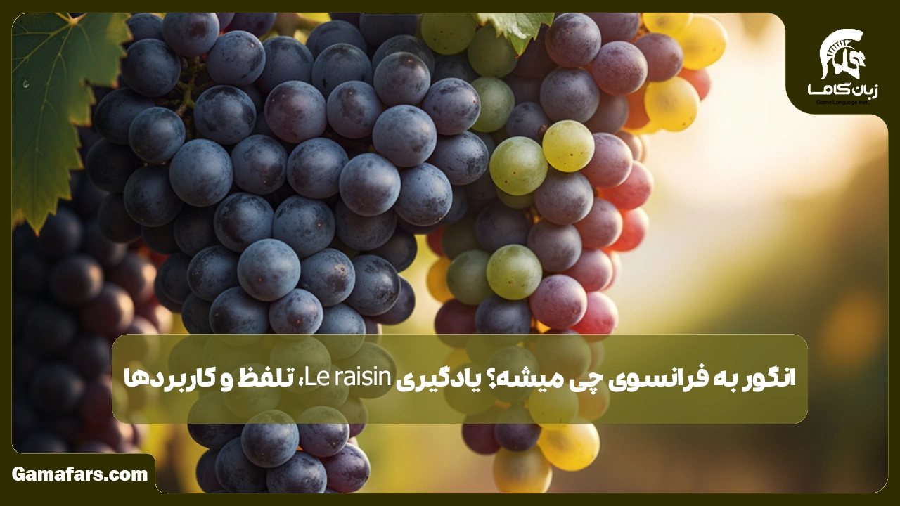 آموزشگاه زبان در شیراز