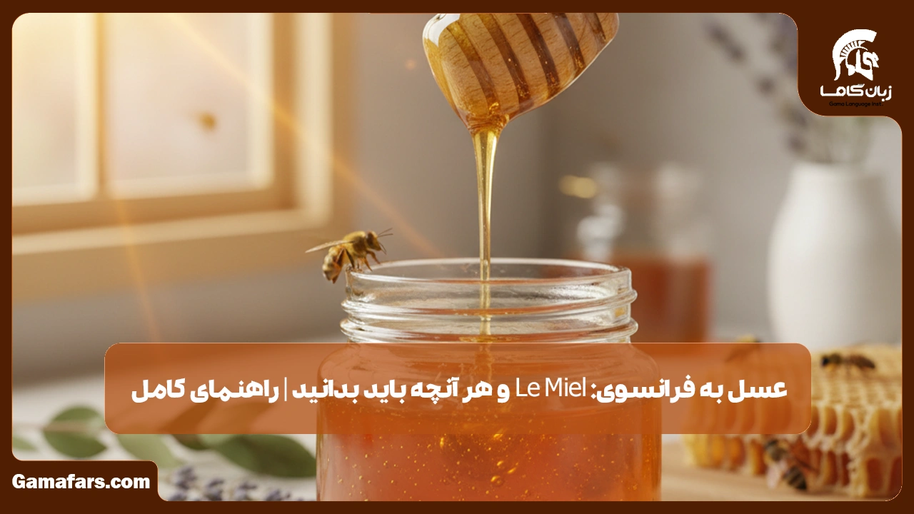 آموزشگاه زبان در شیراز