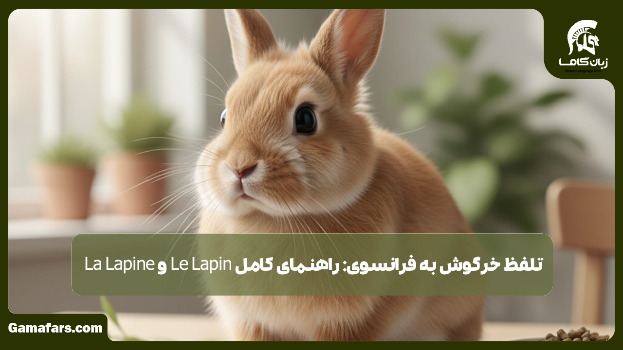 آموزشگاه زبان در شیراز