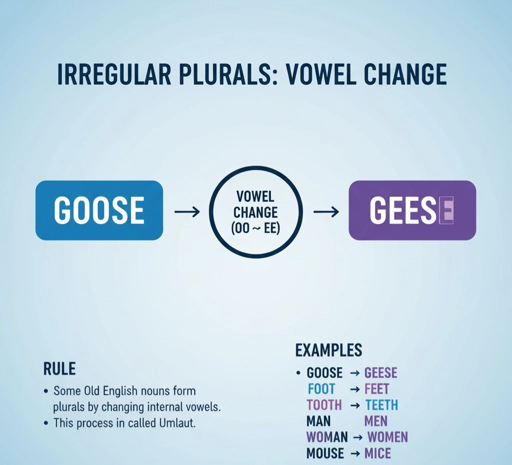 جمع goose چه میشود؟ 1 جمع goose
