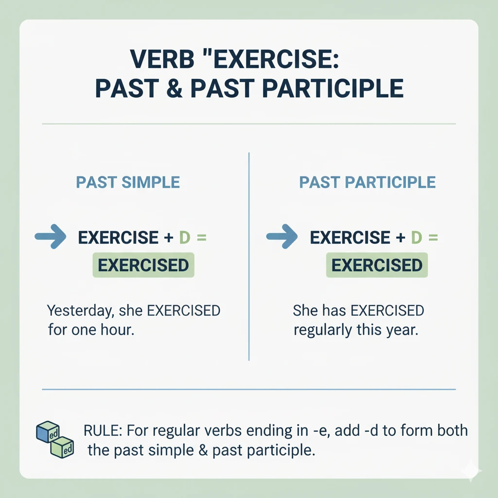 گذشته exercise چه میشود؟ در زبان انگلیسی 1 گذشته exercise