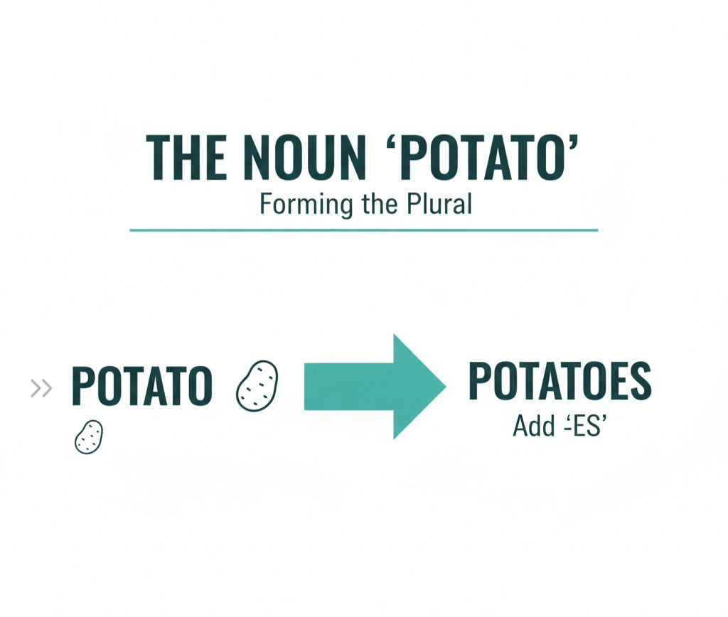 جمع potato چه میشود؟ 1 جمع potato