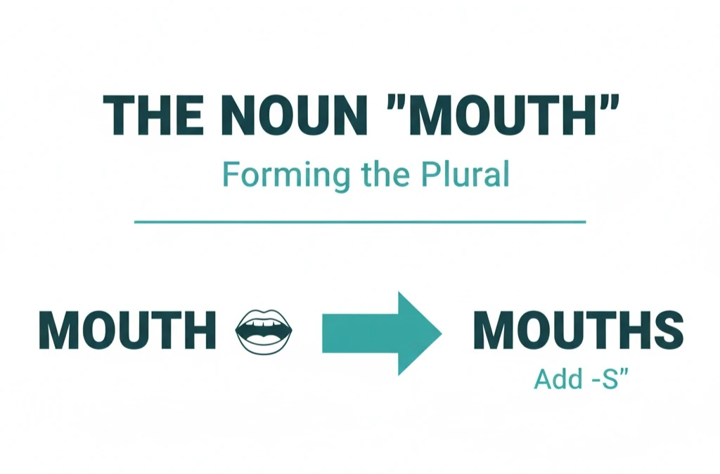 جمع mouth چه میشود؟ آشنایی با معانی و کاربردها 1 جمع mouth