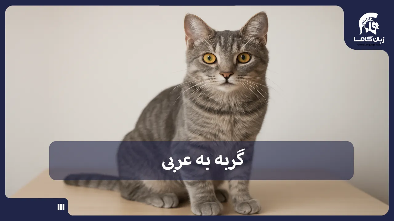 آموزشگاه زبان در شیراز