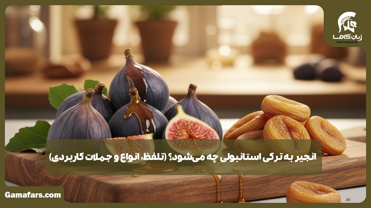 آموزشگاه زبان در شیراز