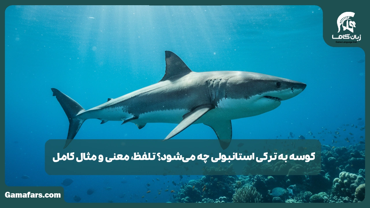 آموزشگاه زبان در شیراز