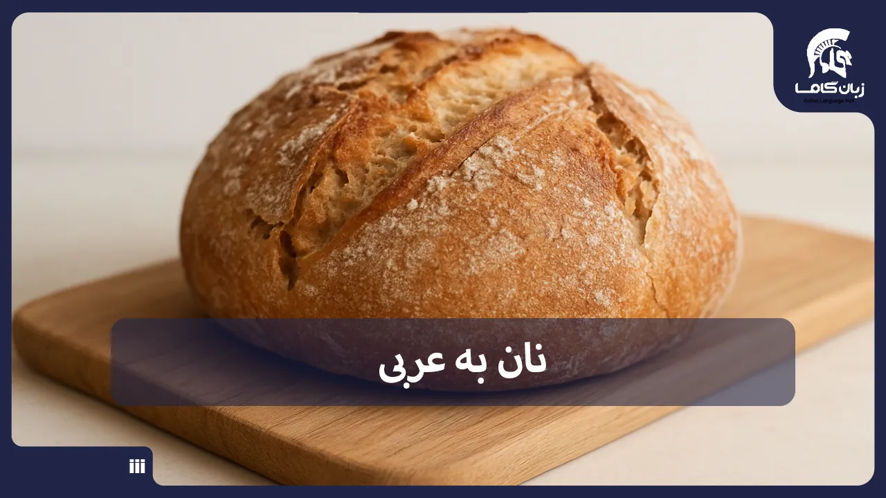 آموزشگاه زبان در شیراز