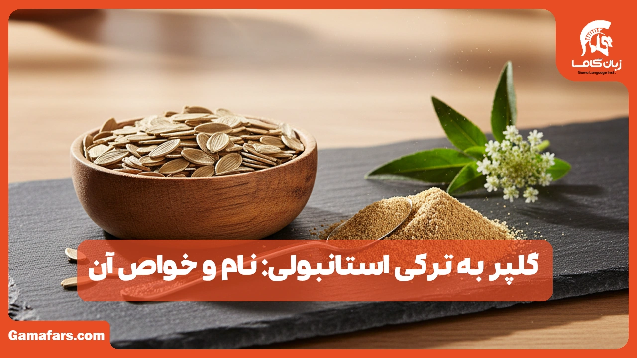 آموزشگاه زبان در شیراز