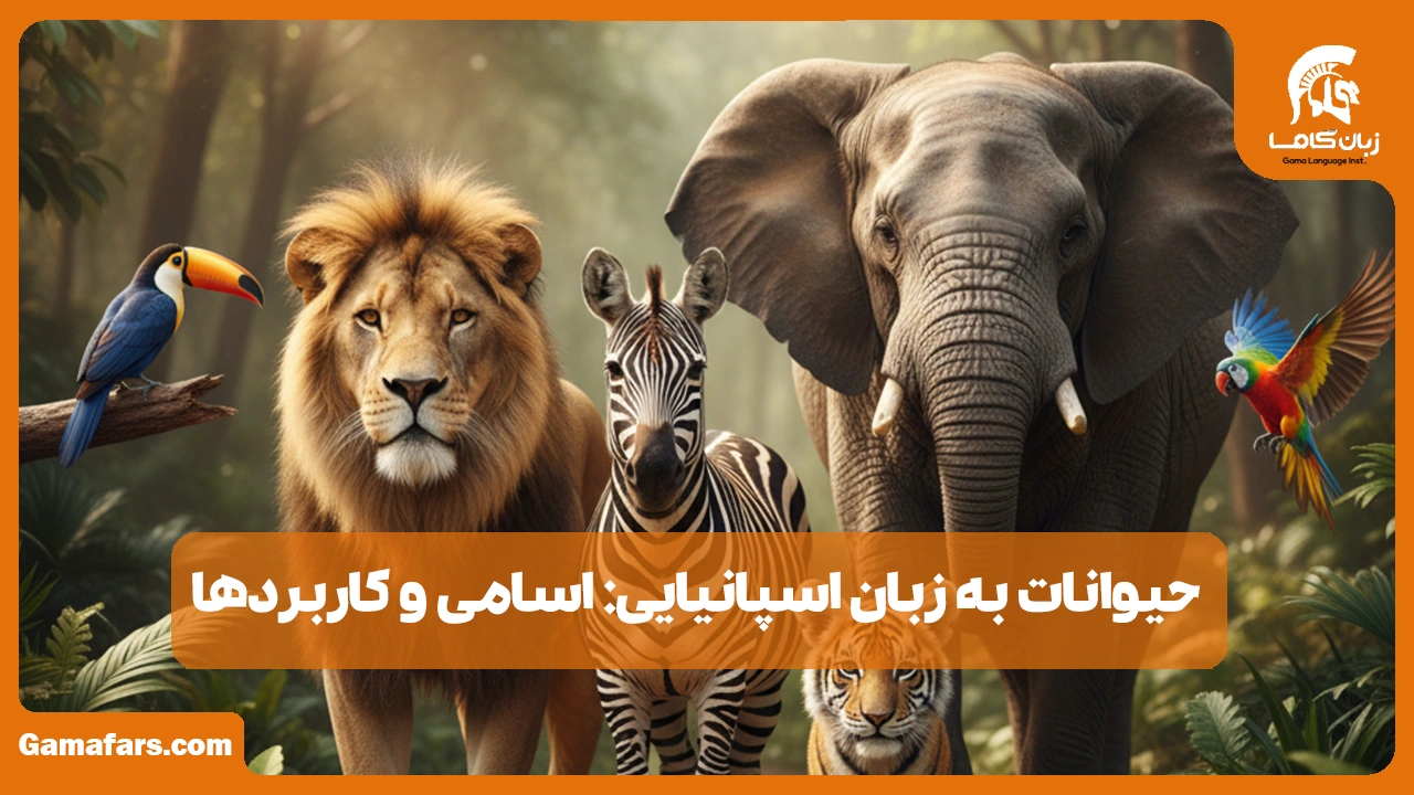 آموزشگاه زبان در شیراز