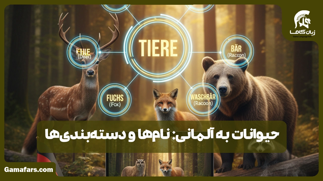 آموزشگاه زبان در شیراز