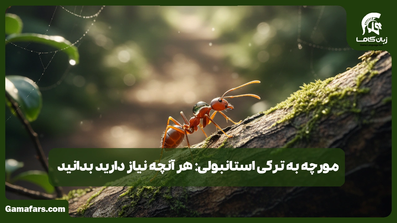 آموزشگاه زبان در شیراز