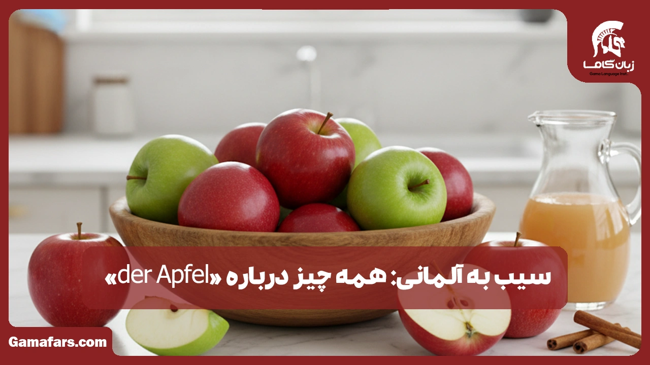 آموزشگاه زبان در شیراز