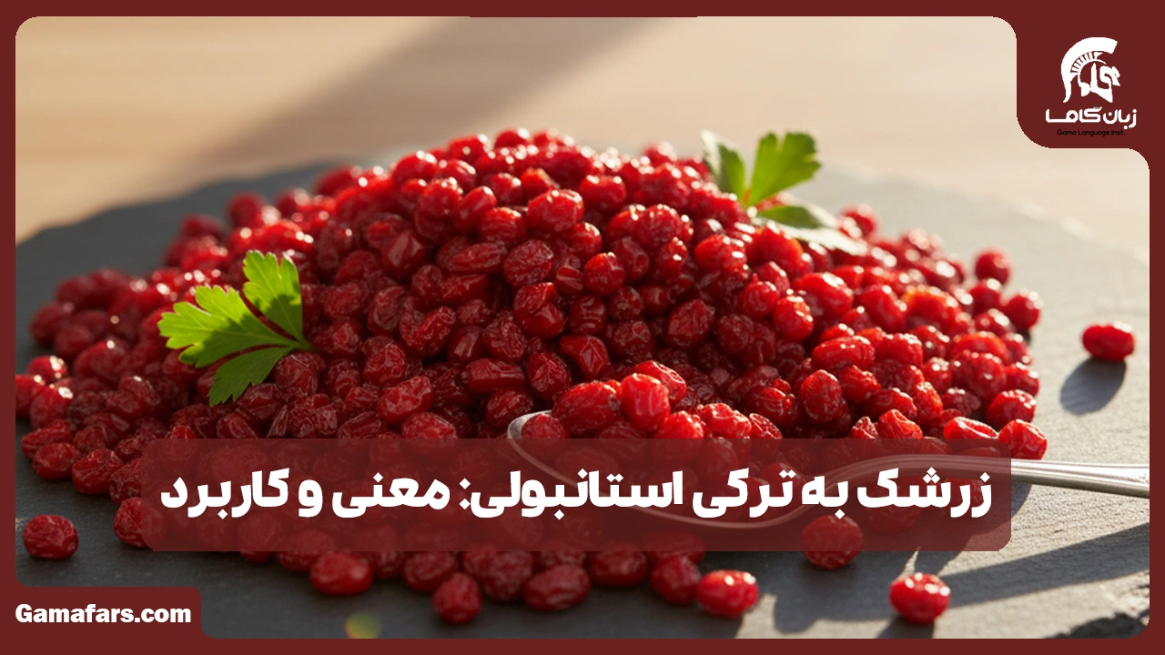 آموزشگاه زبان در شیراز