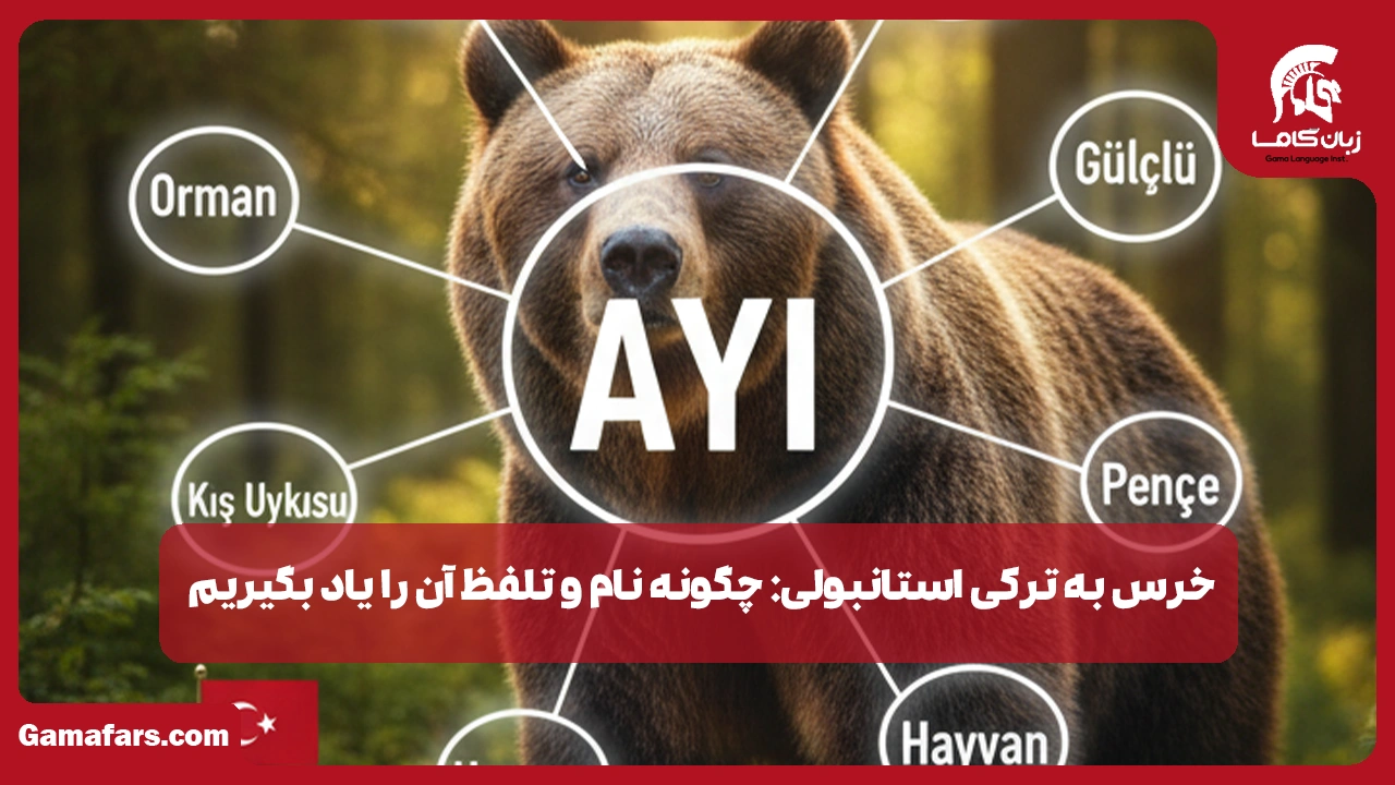 آموزشگاه زبان در شیراز