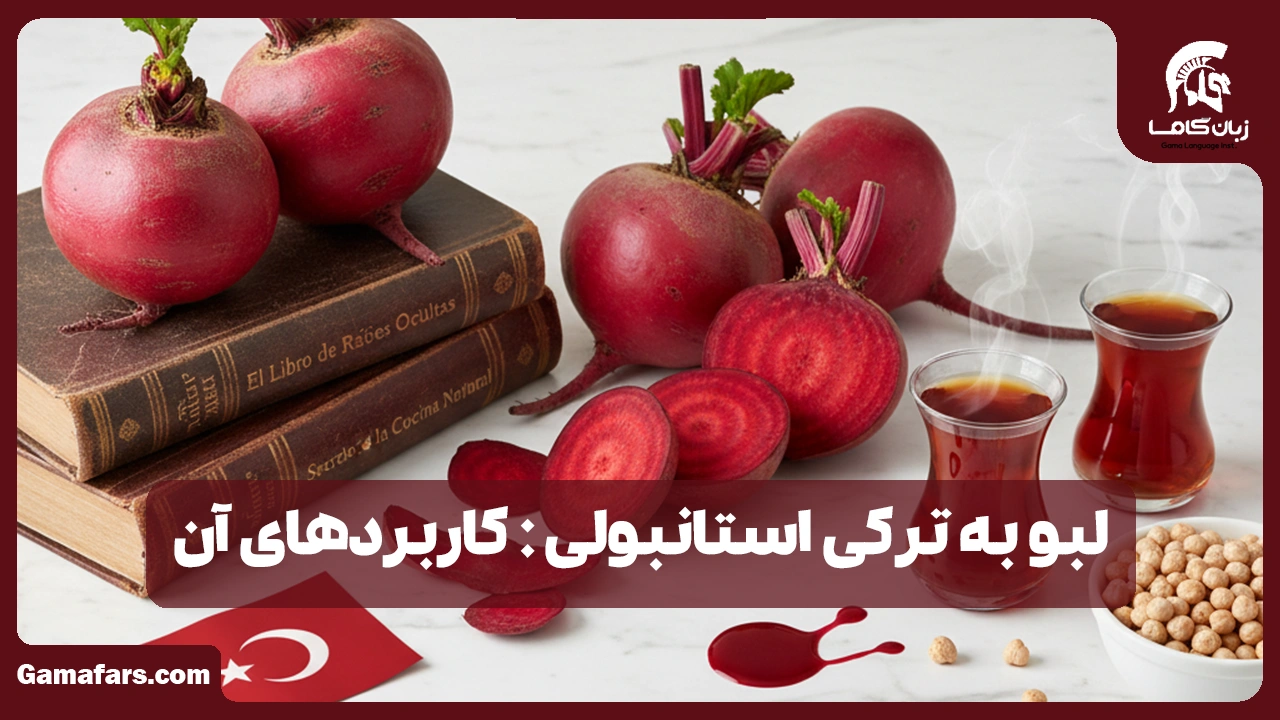 آموزشگاه زبان در شیراز