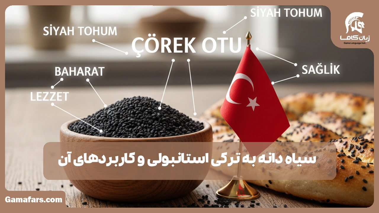 آموزشگاه زبان در شیراز