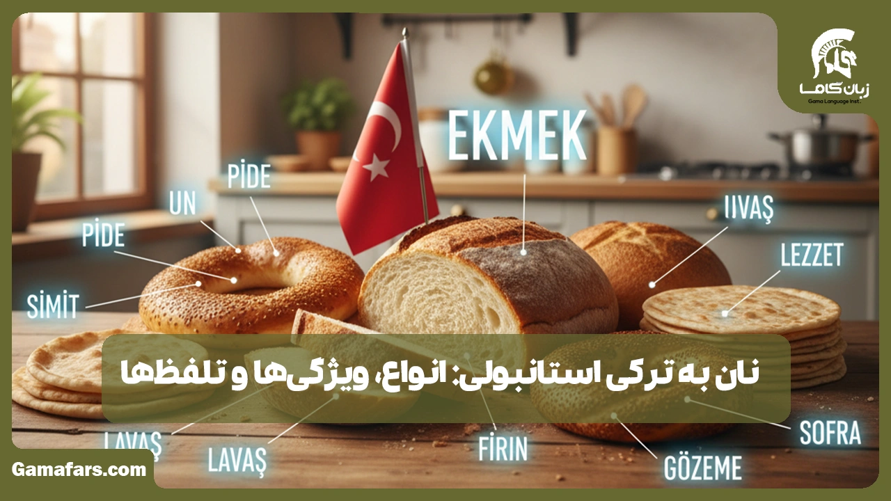 آموزشگاه زبان در شیراز