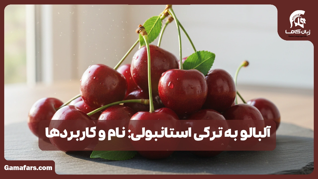 آموزشگاه زبان در شیراز