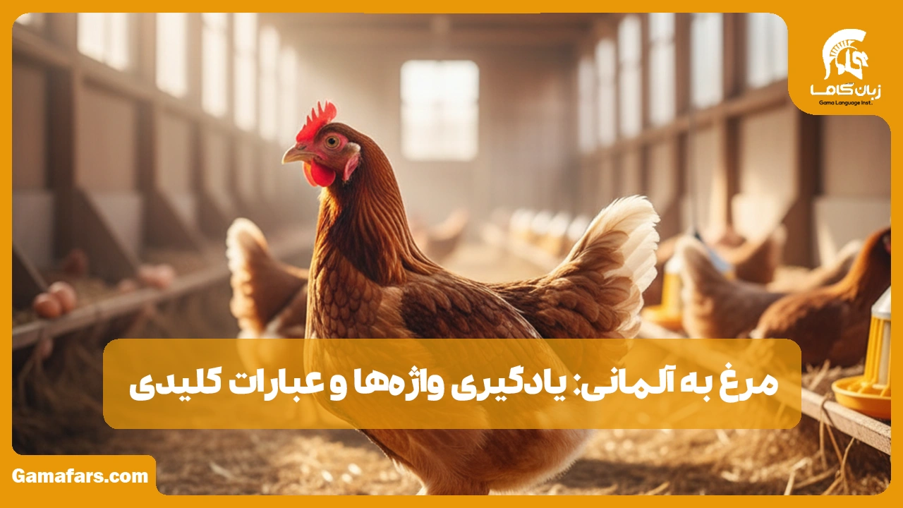 آموزشگاه زبان در شیراز