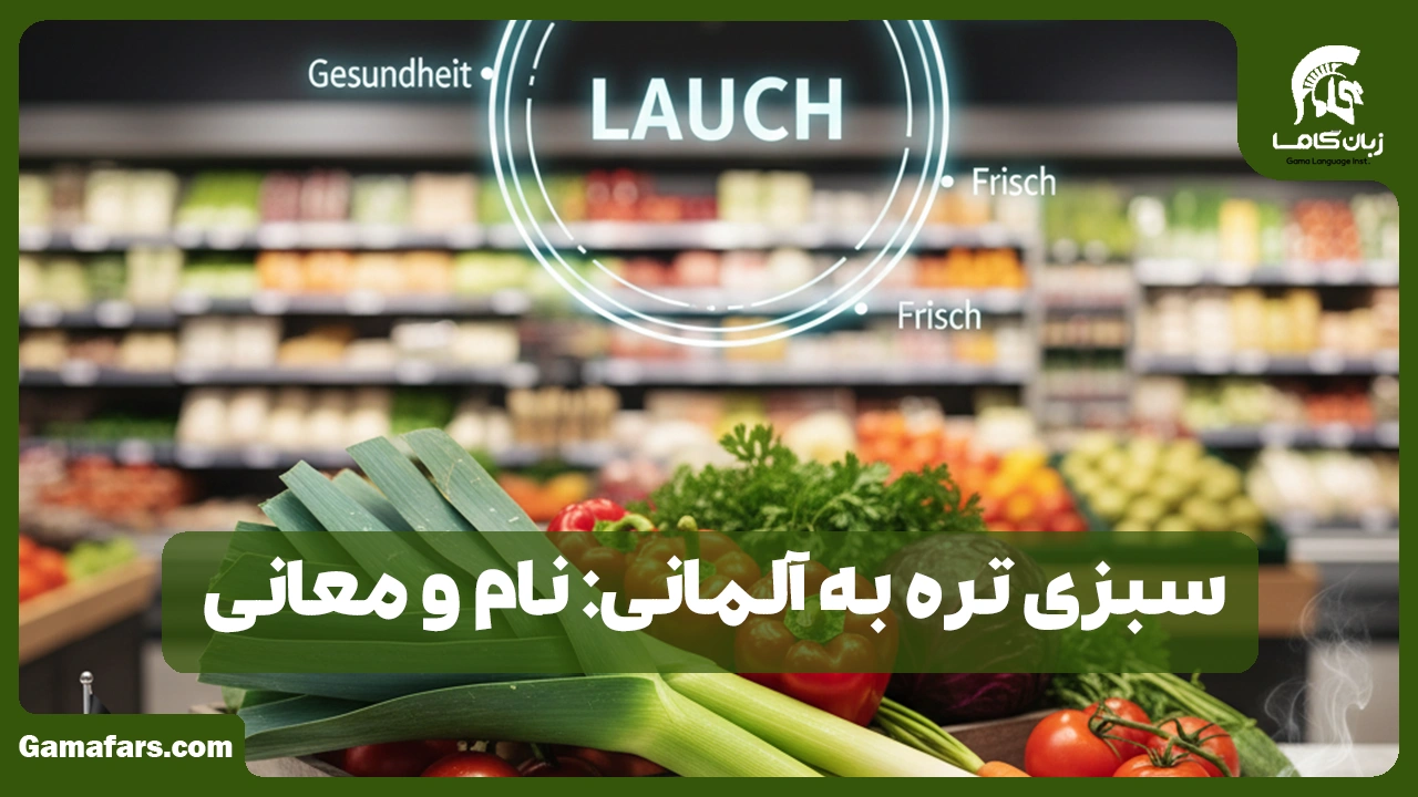 آموزشگاه زبان در شیراز