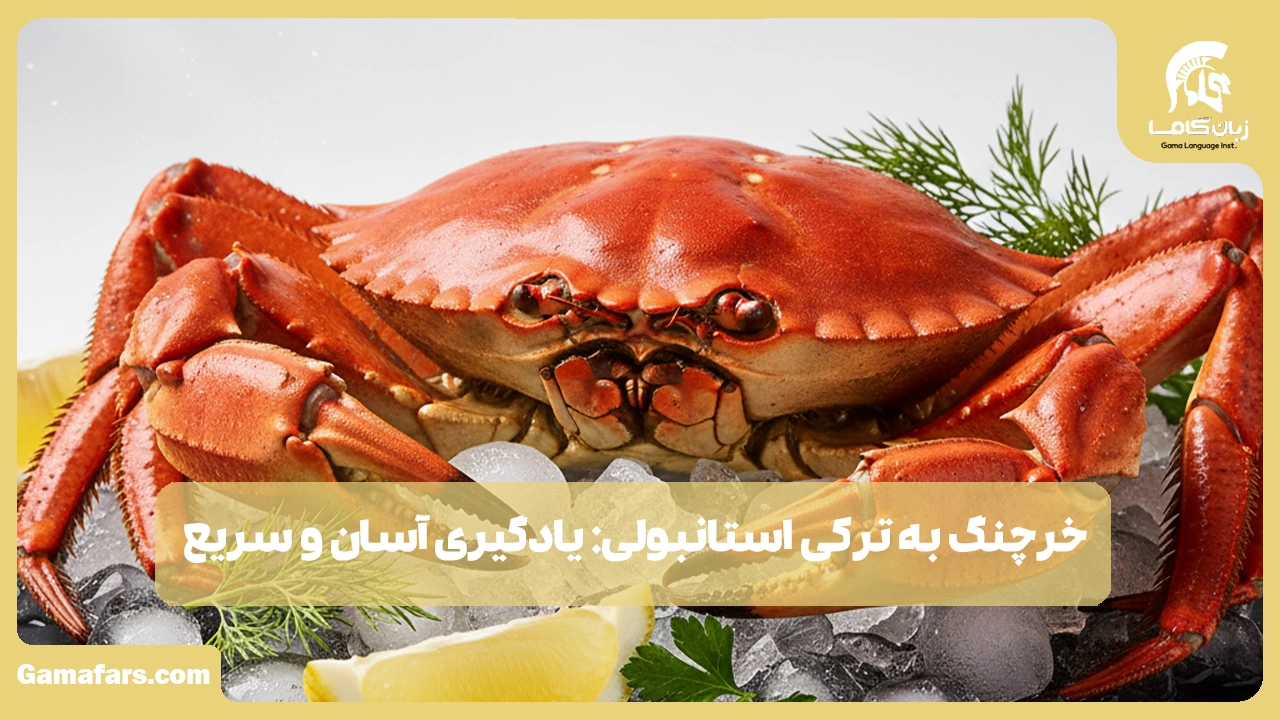آموزشگاه زبان در شیراز