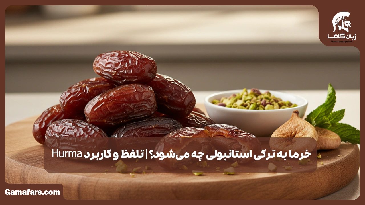 آموزشگاه زبان در شیراز