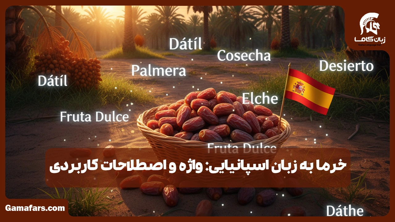 آموزشگاه زبان در شیراز