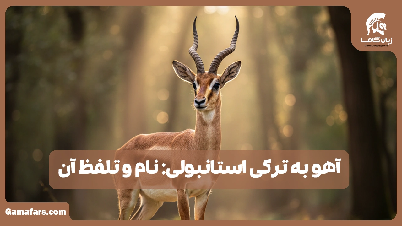 آموزشگاه زبان در شیراز