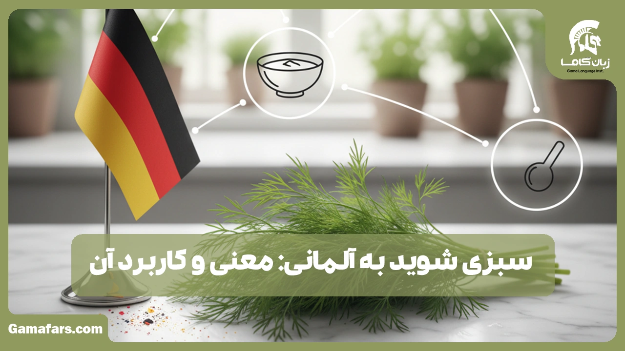 آموزشگاه زبان در شیراز