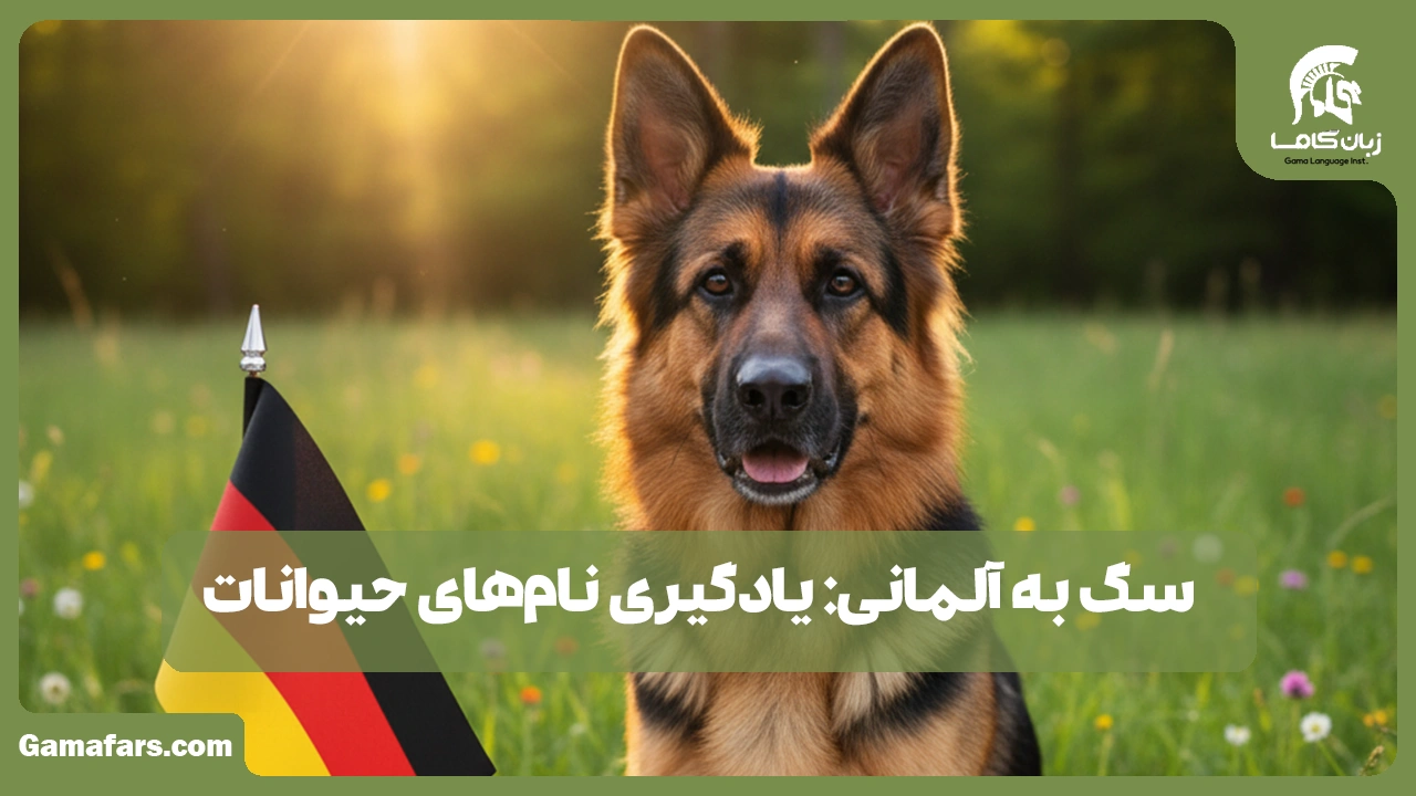 آموزشگاه زبان در شیراز