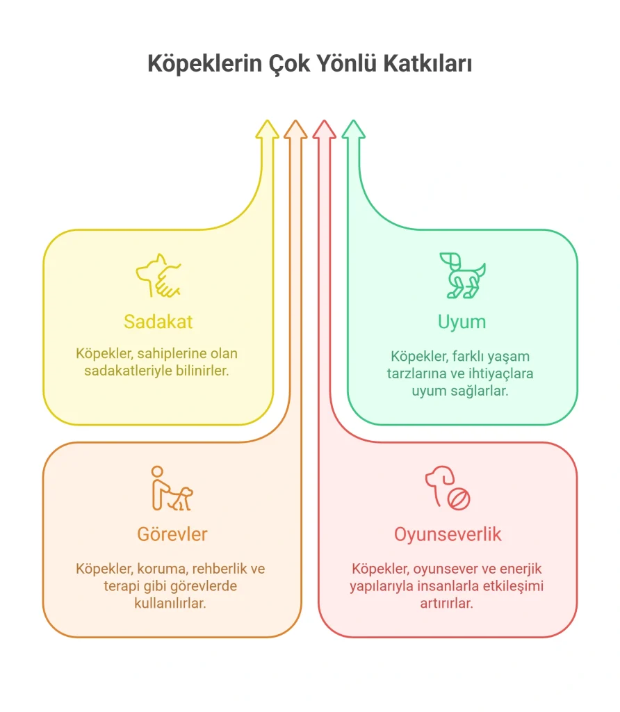 سگ به ترکی استانبولی: از Köpek تا جملات و دستورات کاربردی 1 سگ به ترکی استانبولی